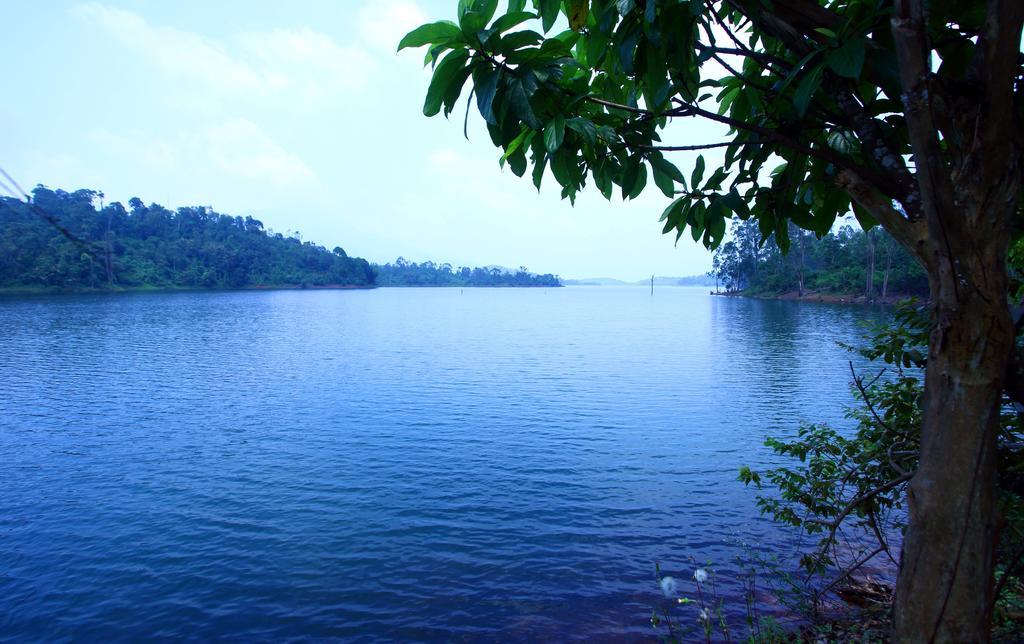 Petals Resorts Wayanad Tariyod Ngoại thất bức ảnh